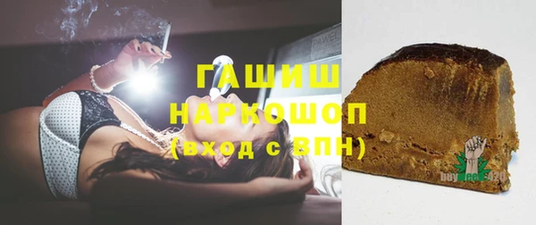 прущие грибы Елабуга